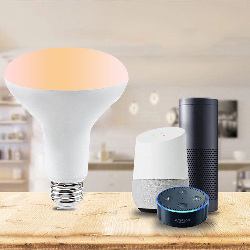 Wifi Smart Bulb LED Voice Remote